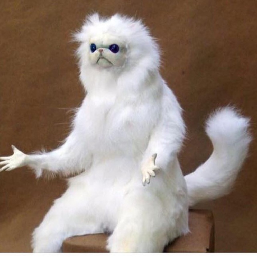 Meet your Posher, Dante A.