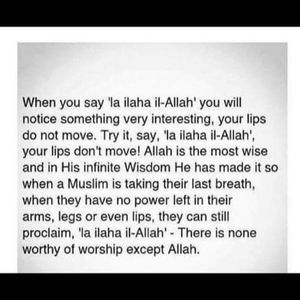 Meet your Posher, Ayan