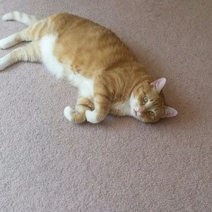 Meet your Posher, Millette