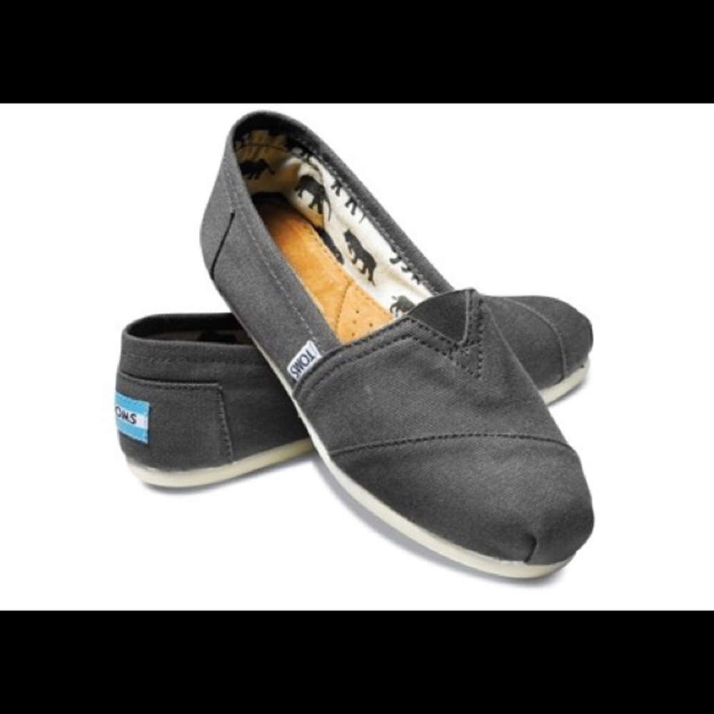 Toms Classic Canvas Ash