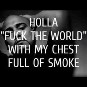 Meet your Posher, Pedro