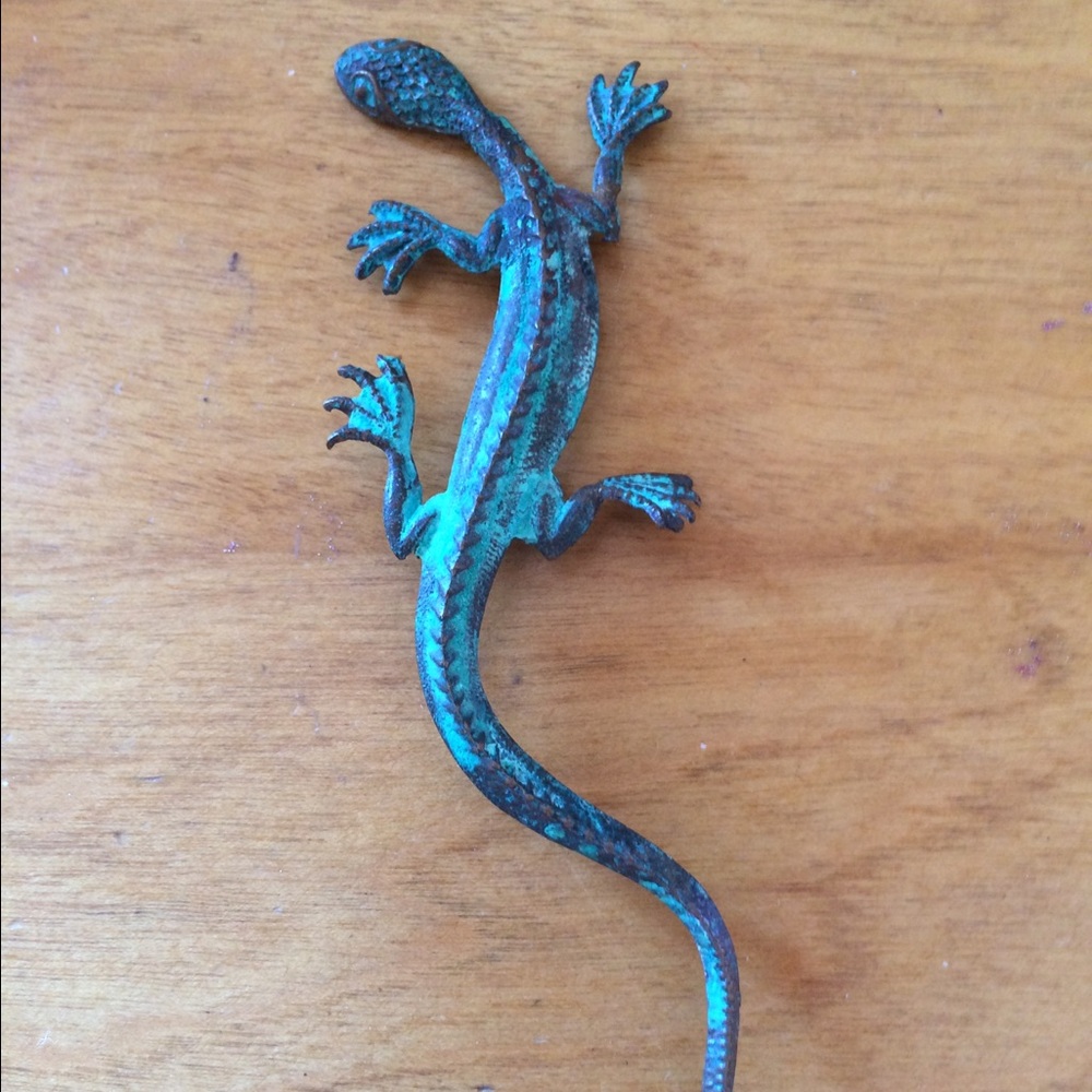 ✅ Cool lizard pin, great patina