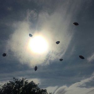 Meet your Posher, Kaylie