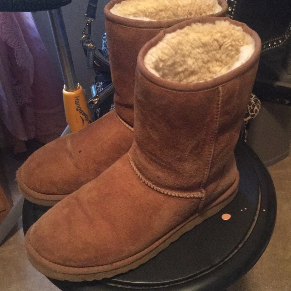 Chestnut Uggs