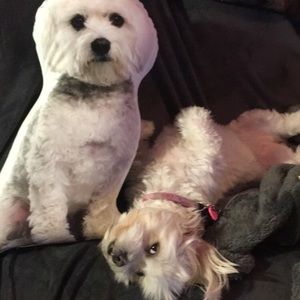 Meet your Posher, Samantha