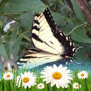 Meet your Posher, Yvonne