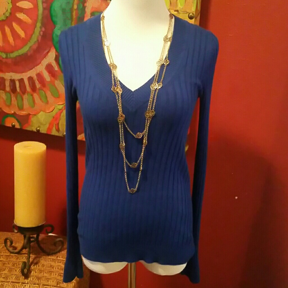 Express Cobalt Blue lightweight vneck sweater