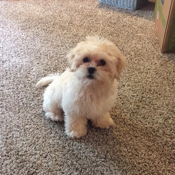 Meet Me! 💋 - Picture 7 of 7