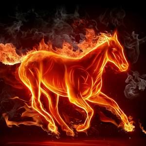 Meet your Posher, Ahna