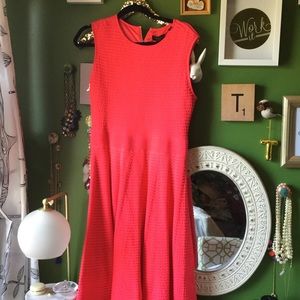 Ted Baker Dresses - BNWT! Ted Baker Orange Ottoman Dress Ted Baker Dresses - BNWT! Ted Baker Orange Ottoman Dress