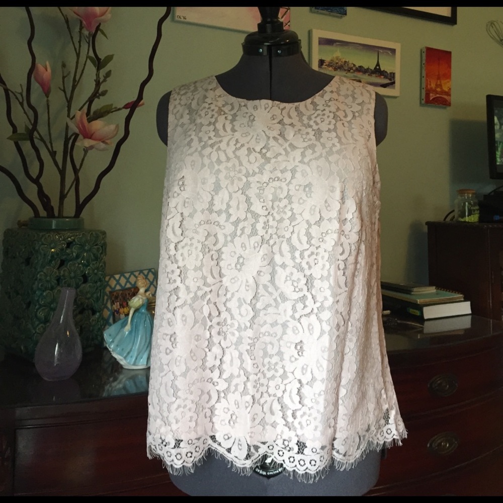 Loft Lavender Lace Top