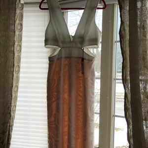 BNWT BCBG Floor length gown