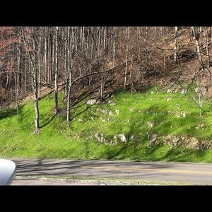 Meet your Posher, Candice