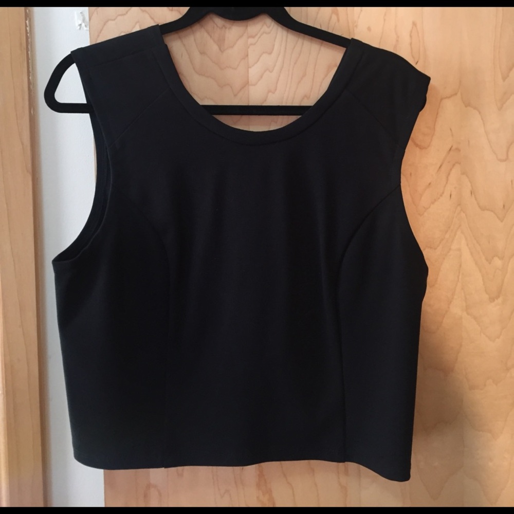 ABS by Allen Schwartz Crop Top