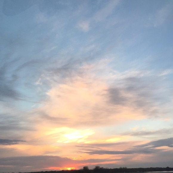 Meet your Posher, Zoe - Picture 1 of 1