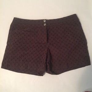 WHBM Chocolate Shorts with Eyelet Patten