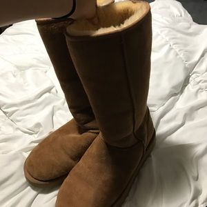 UGG Australia Chesnut Tall Boots