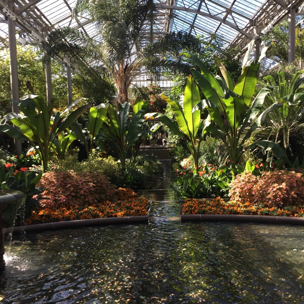 Meet your Posher, Becky