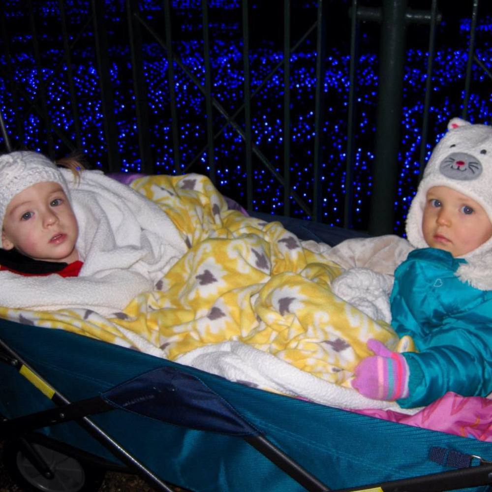 Meet your Posher, Donna