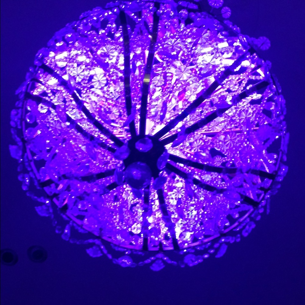 Meet your Posher, Silvia