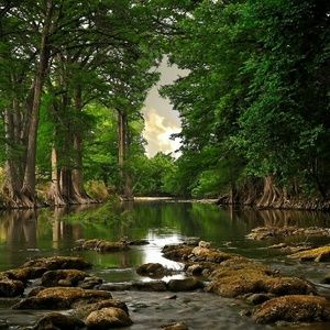 Meet your Posher, Traci