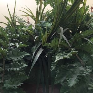 Meet your Posher, Becky