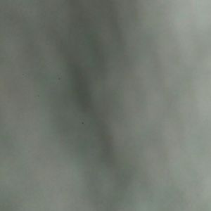 Meet your Posher, Boyed