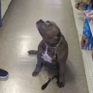 Meet your Posher, Jeffrey