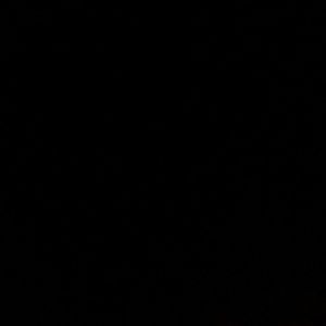 Meet your Posher, Lois