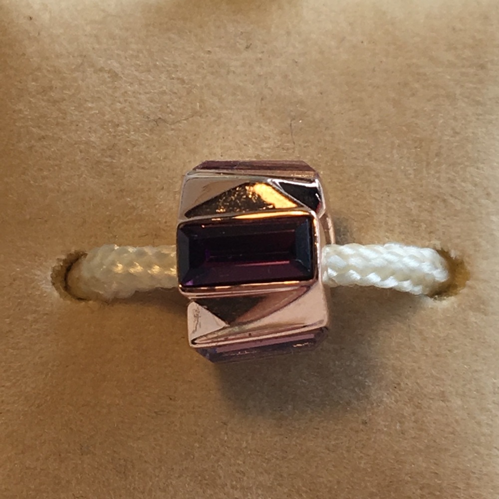 Authentic Chamilia Charm (rare)