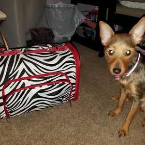 Black red and white zebra doggy carrier