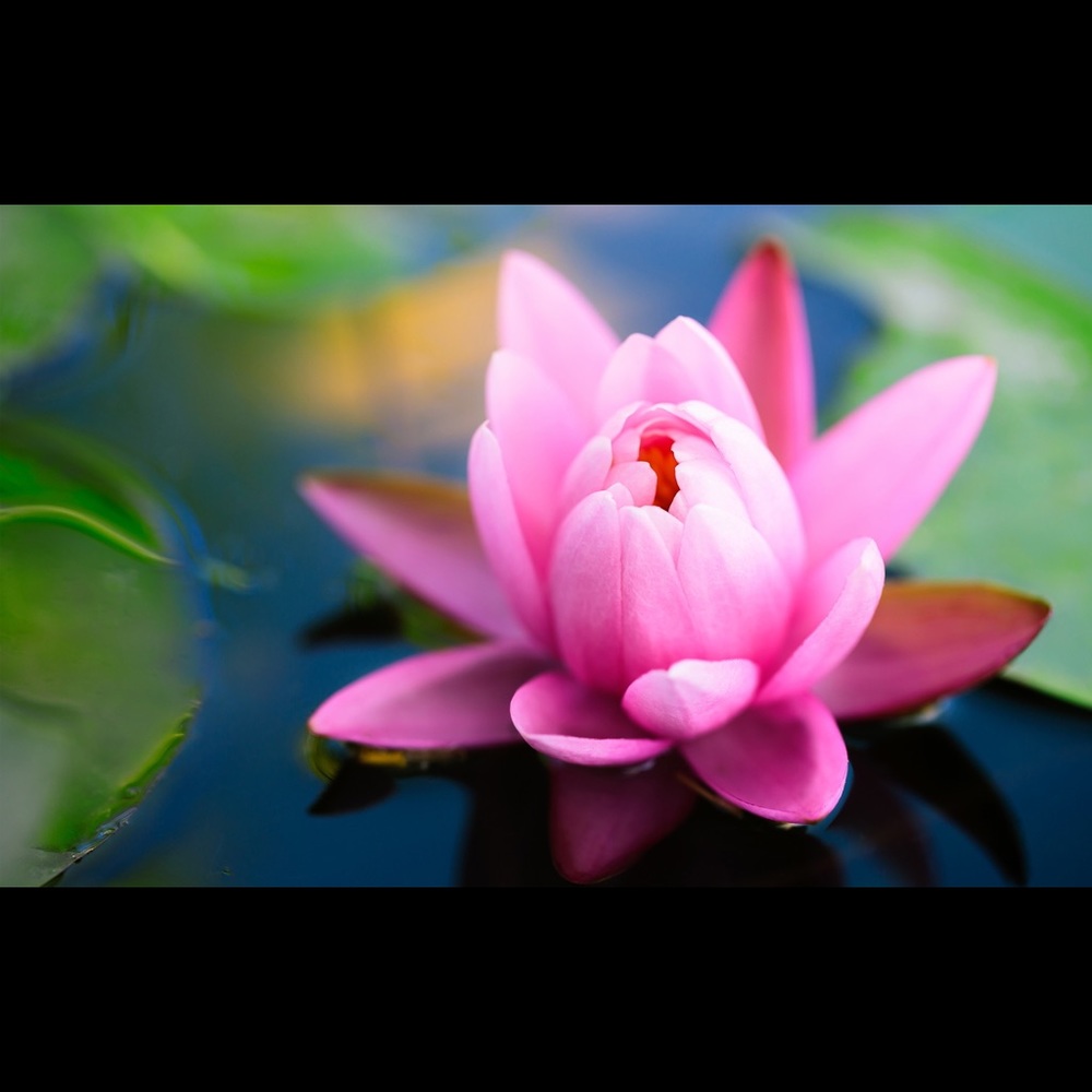 Make me a reasonable offer