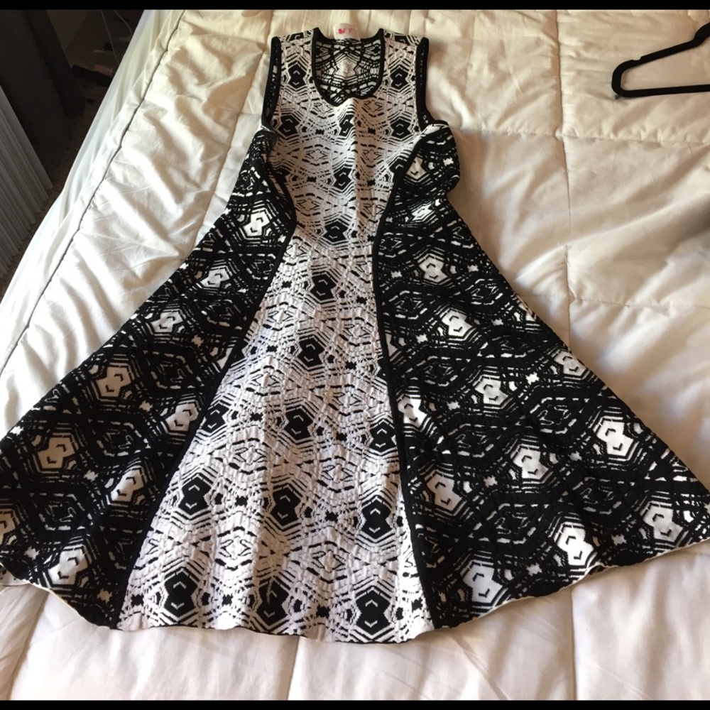 Black and White Parker Dress. Fit and Flare