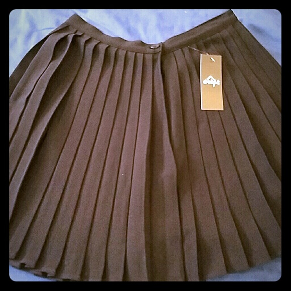 American Apparel Dresses & Skirts - NWT AMERICAN APPAREL PLEATED CREPE SKIRT