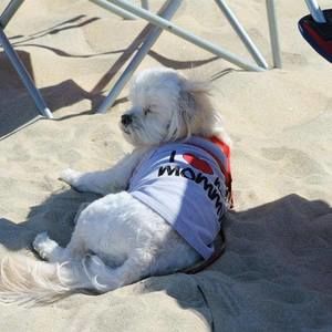 Meet your Posher, Rhonda