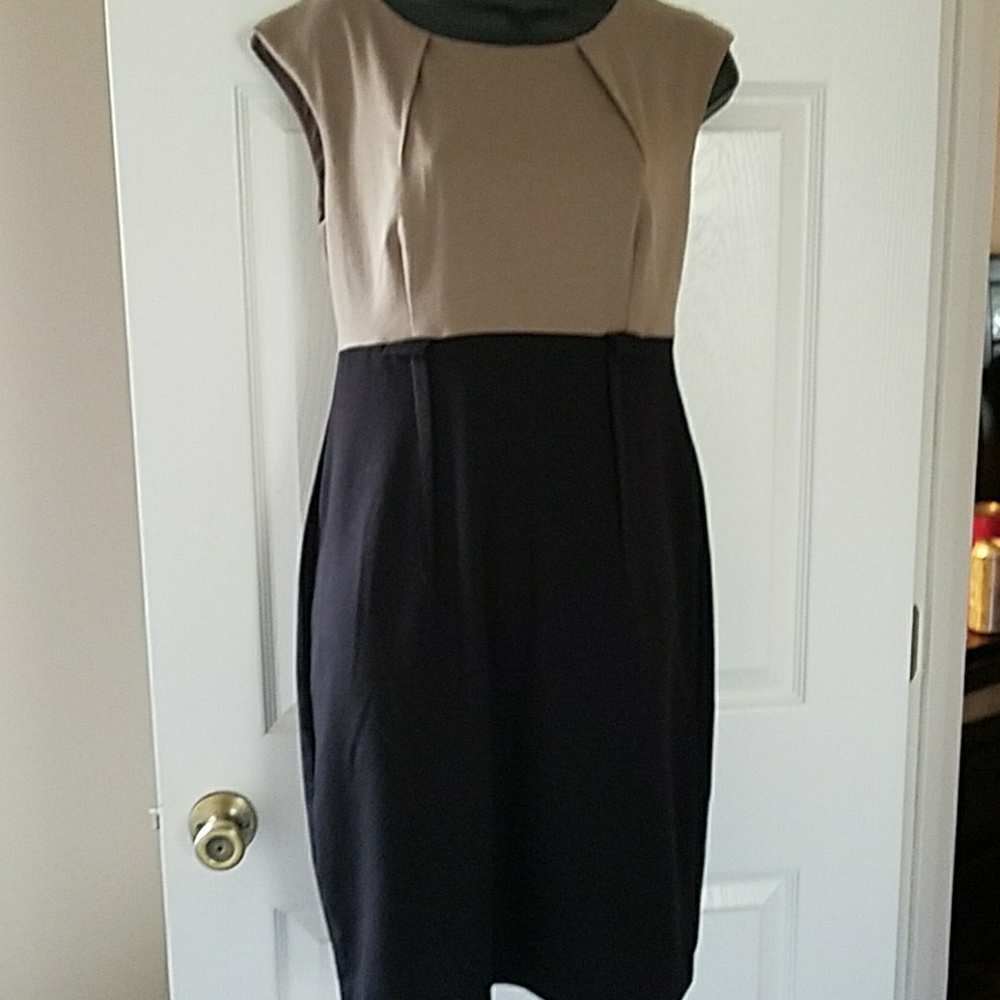 Tan amd Black Dress