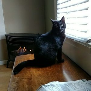 Meet your Posher, Paul