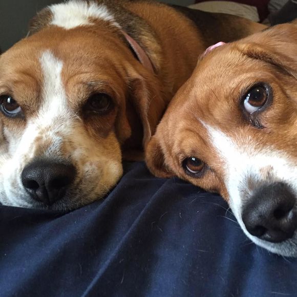 Meet your Posher, Jan - Picture 2 of 2