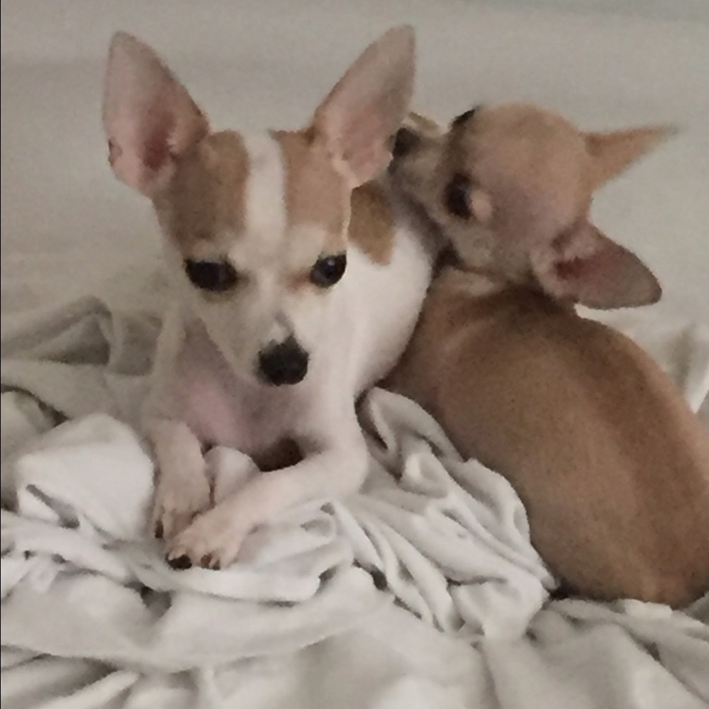 Meet your Posher, Taty