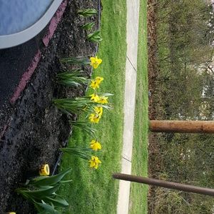 Meet your Posher, Karen