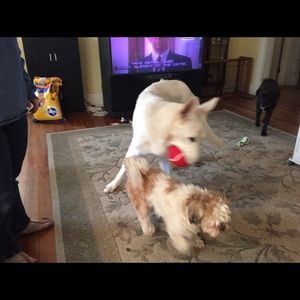 Meet your Posher, Becky