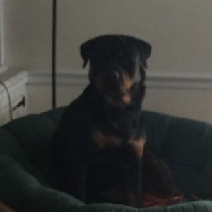 Meet your Posher, Ian