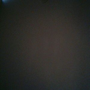 Meet your Posher, Shania