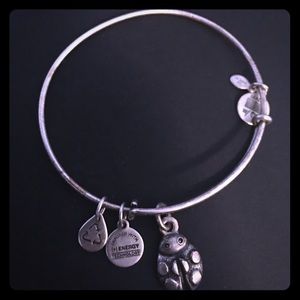 NWOT never been worn Alex and Ani bracelet