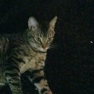 Meet your Posher, Janice