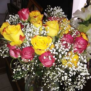 Meet your Posher, Yesenia