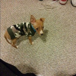 Meet your Posher, Ashley