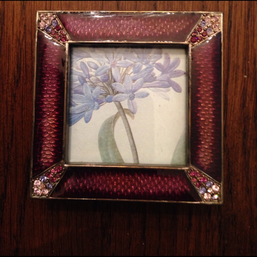 Jay Strongwater frame