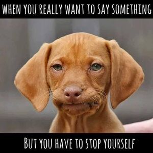 Meet your Posher, Genny