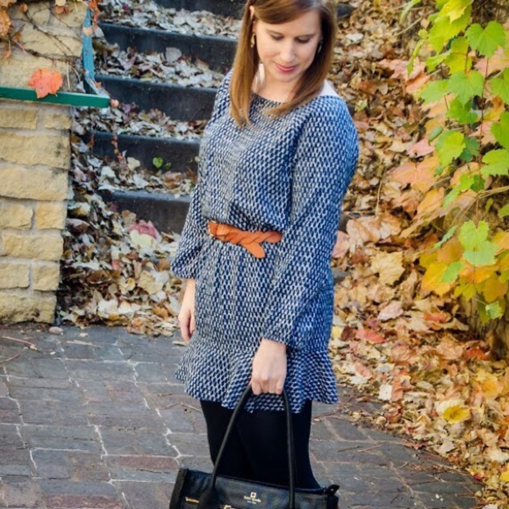 Soft Joie Dress